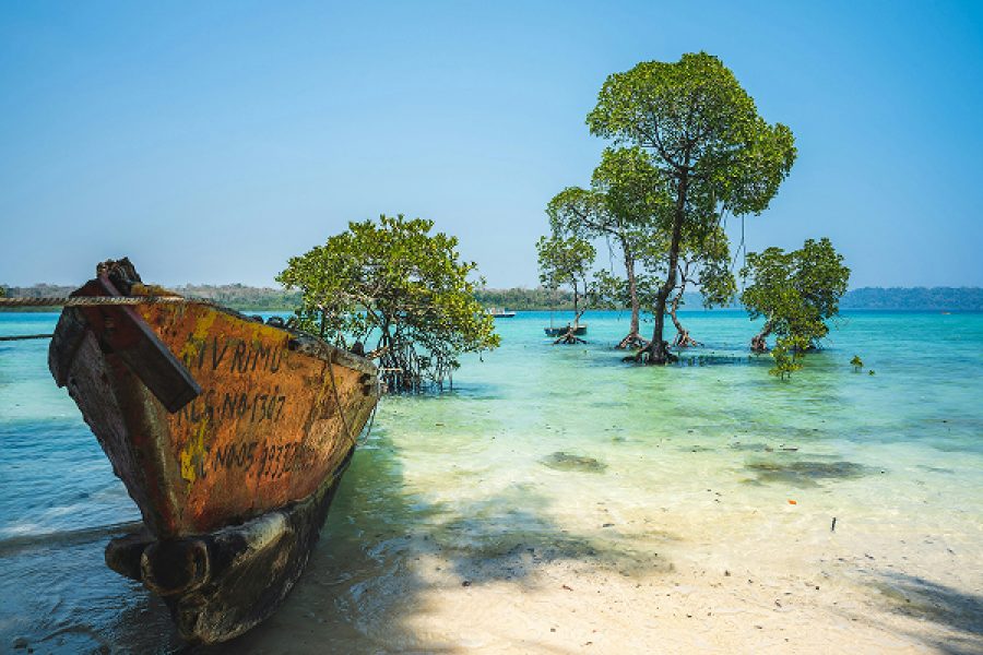 ANDAMAN & NICOBAR ISLANDS-Group Package
