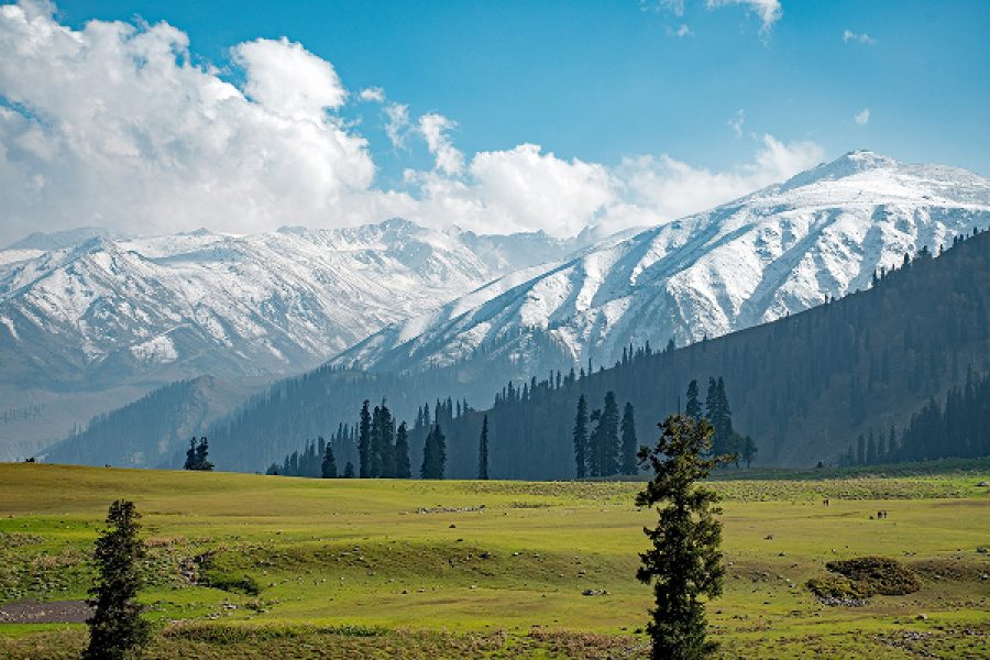 KASHMIR –Group Package
