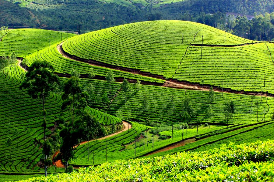 KERALA – GROUP PACKAGE